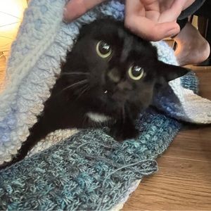 Meet your Posher, Annika